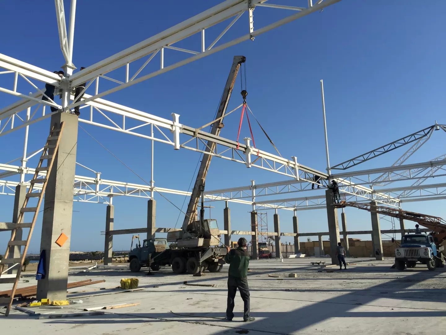 ���ϣ���ᘌ�(du��)���^Ĥ�Y(ji��)��(g��u)䓲Ĳ�ͬ��׃����r���в�ͬ�ķ��l(w��i)����