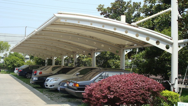 1560240541740045.jpg 1 (115).jpg